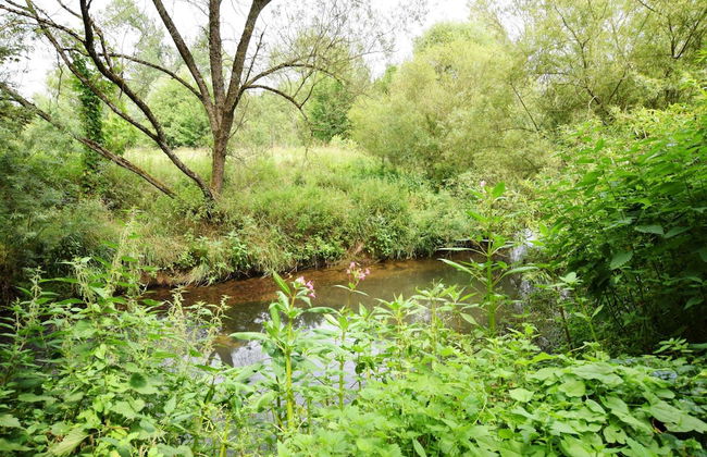 Holiday Home in Virton With Swimming Pool - Foto 34