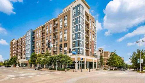 The Hangout ! - Photo 3