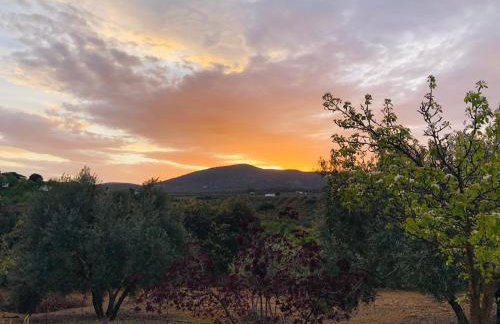 Casa de Campo La Mejorana Refugio entre olivos sin renunciar al confort - Foto 54