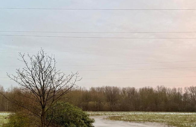 Scherpenheuvel Garden Home - Photo 36