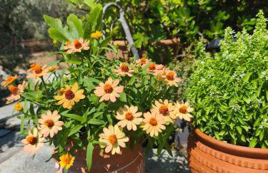 Sea view Goldins house - Foto 7