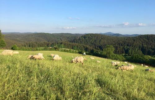 Ferienwohnung Hänel - Foto 21