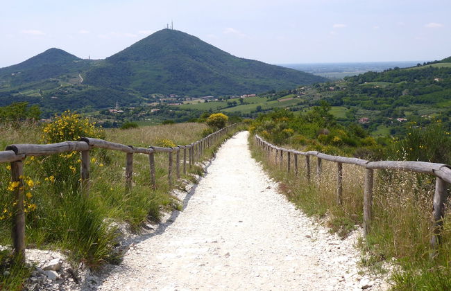 Casa Delle Eriche, Colli Euganei, Pool, Wifi - Foto 37