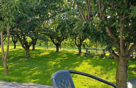 Domki w Winnicy - Świętokrzyska Winnica Knapów - Foto 50