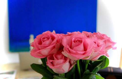 Bridgend Cottage, Auchencairn, Castle Douglas - Foto 23