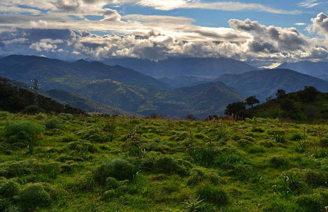Safari nel Parco naturale delle Madonie - Foto 3