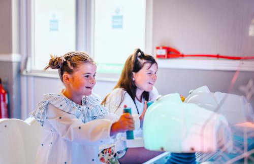 Heather View Essential Clover Caravan Pet 1 - Photo 11