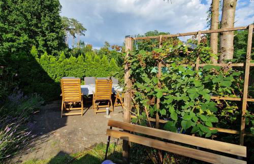 Ferienhaus an der Brandenburgischen Seenplatte - Photo 24