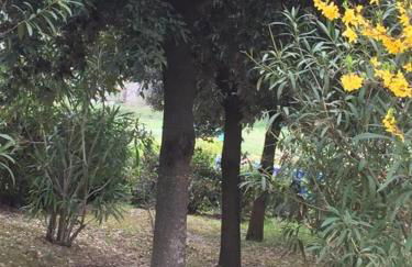 Agriturismo Pane e Olio - Photo 72