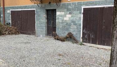 Oste al numero 22 - Foto 3