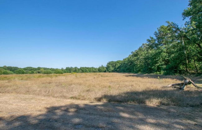 Luxury Villa in De Pier With Sauna - Photo 28