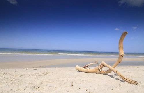 Domki pod Łebą - Photo 45