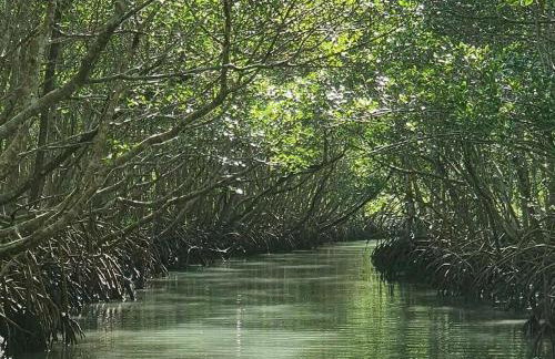 Azuis da Marambaia - Foto 27