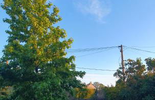 Maisonnette avec jardin - Foto 14