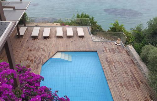 Cape Kitries - Photo 41