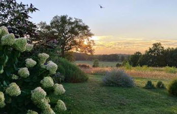 Domaine équestre de la Chênaie - Foto 44