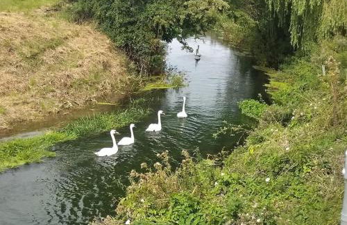 2 Bed in Axbridge oc-91358 - Foto 23