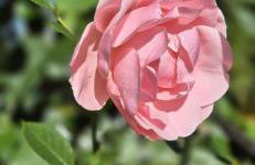 Domek w Karkonoszach - Foto 64