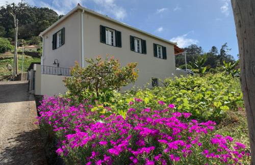 Terra Batista house - Photo 3