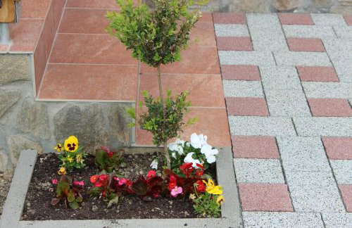 Drvena Hižica - Foto 11