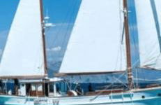 Windsurf Beach Front - Photo 45