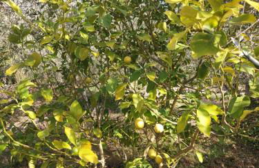 Nostro Rifugio - Foto 16