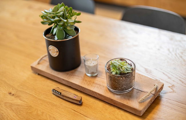 Erven Janovice Sckv023-ka - Foto 19