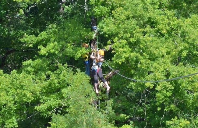 Les chalets de la héronnière - Foto 15