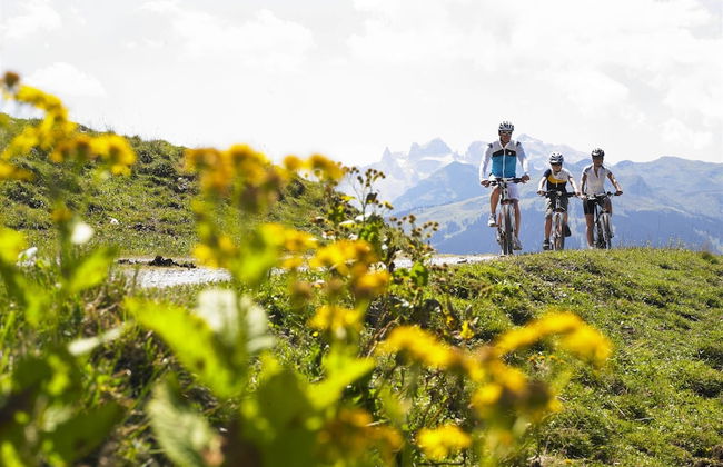 Chalet in Gaschurn Near Ski Lift - Foto 33