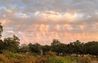 Corteganillas - Foto 23