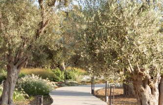 Elies Residences Luxury Apartments - Photo 20