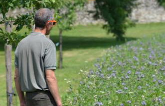 Gîtes à la ferme idéal en couple, famille ou amis - Foto 19