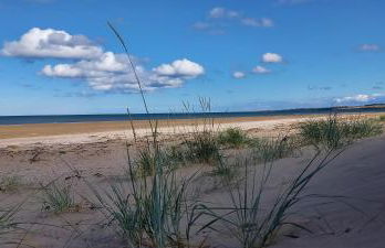 Holiday Home Schwabenhaus - Foto 42