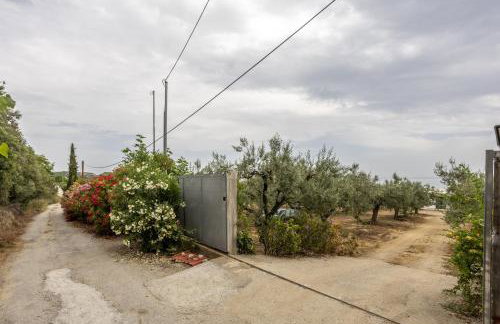 Azzure Heaven - Foto 34