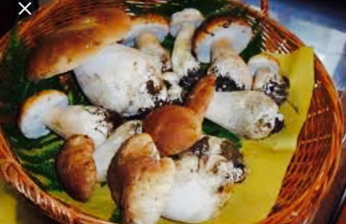 Tirso Apartament - Foto 27