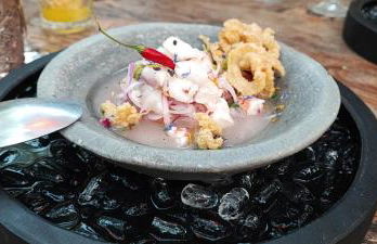 Costa de Marfil I World, Hermoso - ServHouse - Photo 18