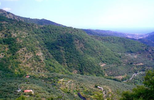 Country House With Big Garden - Photo 36