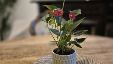 Beautiful 5-Bedroom home with Free Parking - Foto 2