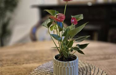 Beautiful 5-Bedroom home with Free Parking - Foto 2