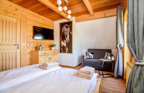 Domki Wiśta Wio - Foto 38