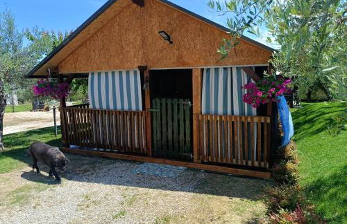 VILLA FELICIA - Foto 19