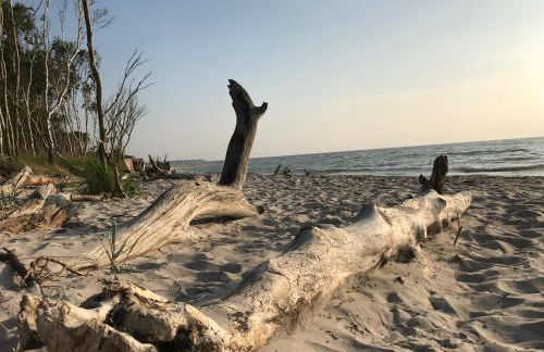 "Leuchtturmhaus" by Ferienhaus Strandgut - Foto 26