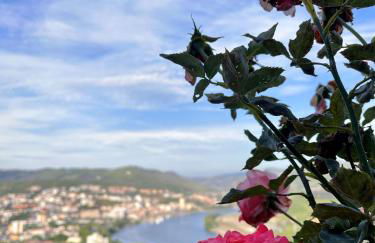 Casa de Sergude - Foto 22