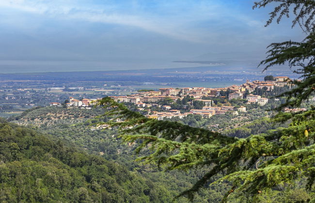 Fiordaliso - Foto 30