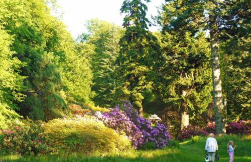 2 Bed in Birnam Dunkeld oc-ca266 - Foto 7