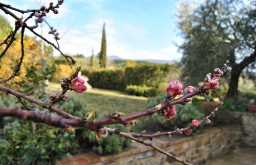 Casa Fioranna - Foto 5