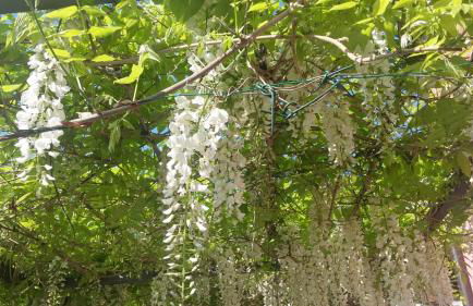 Casa del Sole, Lago di Monate - Foto 18