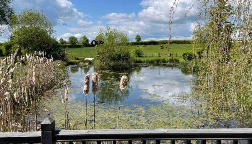 Lily pad Lodge - Photo 4