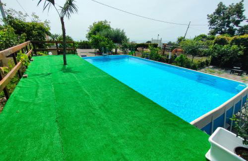 Il Limoneto di Leo - Foto 41