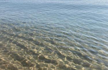 Mas Pinell Piscina - Foto 6